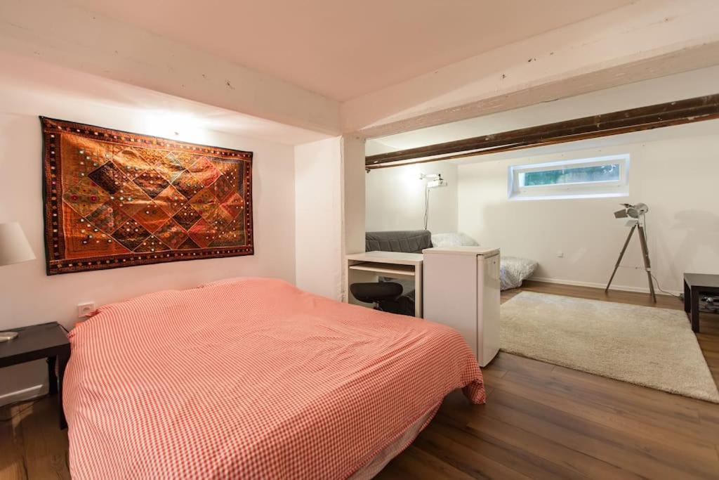 R-Appartements Strasbourg Cosy Orangerie Pour Vos Sejours En Famille Ou Entre Amis Εξωτερικό φωτογραφία