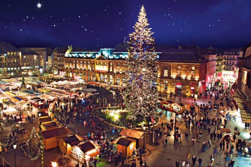 R-Appartements Strasbourg Cosy Orangerie Pour Vos Sejours En Famille Ou Entre Amis Εξωτερικό φωτογραφία